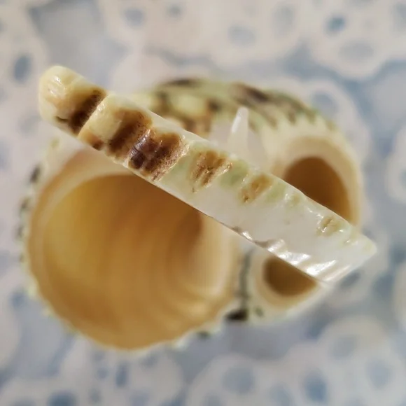 Carved Seashell with Rabbit - Picture 10 of 15